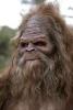 Ralph Schubert's Profile Picture