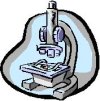 Bernd Gottselig's Avatar